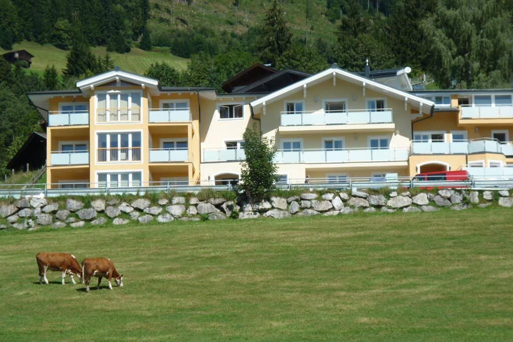 Apartment Hohe Tauern Piesendorf Ngoại thất bức ảnh